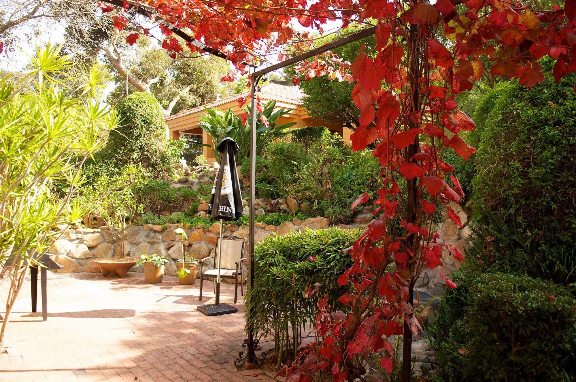 Cap Serein Guest House Cape Town Exterior photo